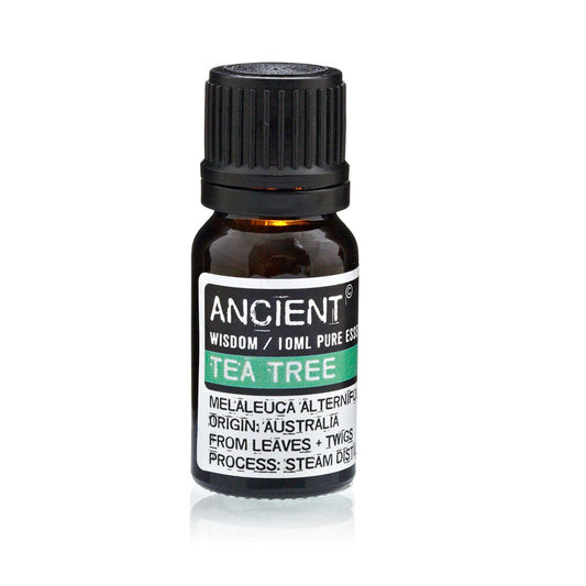 Aceite Esencial de Árbol de Té Puro -  10ml