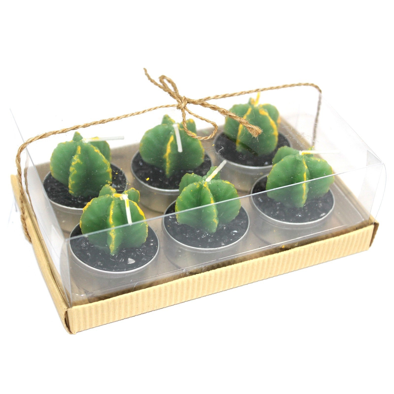 Juego de 6 Monks Cactus Tealights en caja de regalo - MAENA HOME