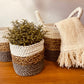 Juego de cestas de algas marinas - Gris / Natural / Blanco - MAENA HOME