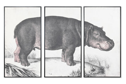 Set de 3 cuadros Hipopótamo